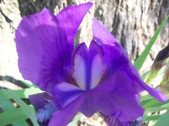 $102_5401.webp