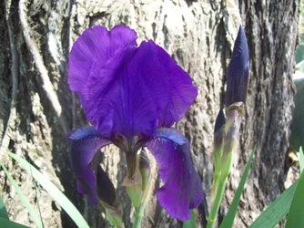 $102_5402.webp
