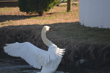 $2014 03 06_6126.webp
