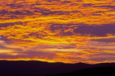 $sunrise 029_edited-1.webp