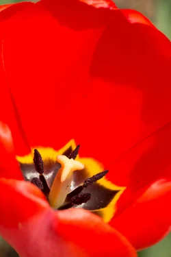 $IMG_1515-2.webp