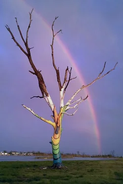 $art tree rainbow.webp