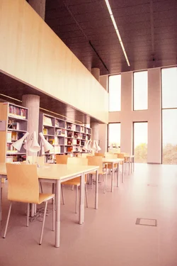$biblioteka2.webp