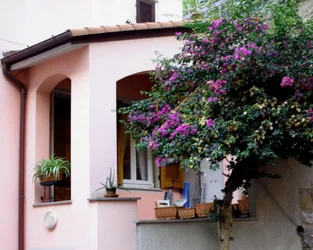 $Cinq Terre flowers.webp