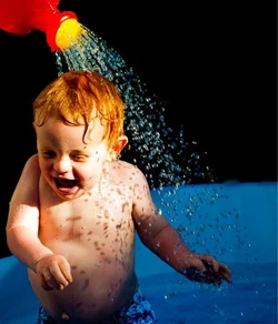 $image-2012866295.webp