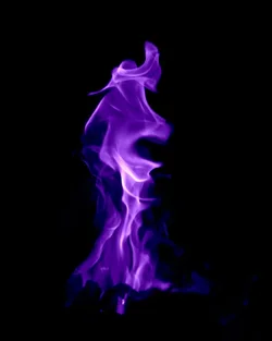 $purple fire.webp