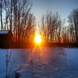 $IMG_20140327_210430.webp