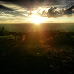 $Northbase Ranch.webp