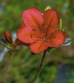 $_DSC3574-Edit.webp