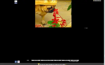 .webp