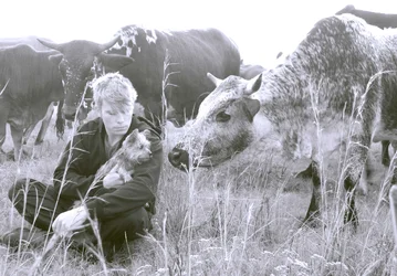 $cattle 030_edited-1.webp