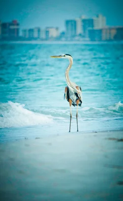 $birdPRINT_360ppi.webp $birdPRINT_360ppi.webp