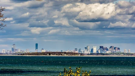 $_MSI5178-8.webp