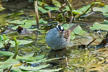 $DSC07737 copy.webp $DSC07737 copy.webp