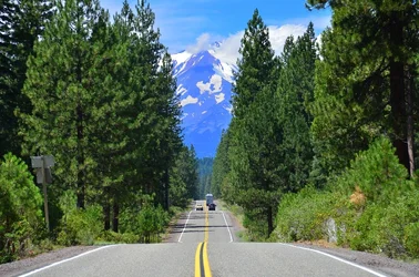 $Shasta.webp $Shasta.webp