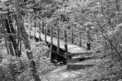 $Bridge at Doe Run_edited-1.jpg