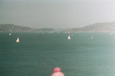 $85550001.webp
