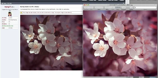 .webp