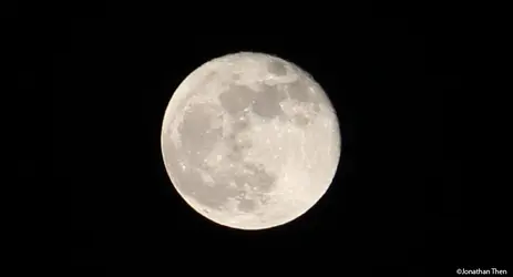 $supermoon.webp