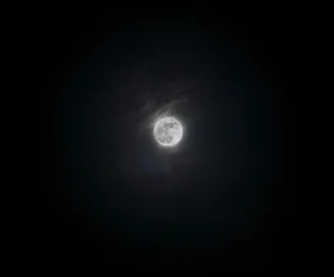 $Moon 1.webp