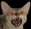 $Raja-Snarl RED EYES Avatar.webp $Raja-Snarl RED EYES Avatar.webp