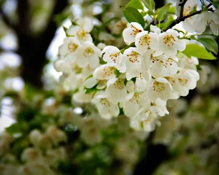 $IMG_1206lllllllll.webp $IMG_1206lllllllll.webp