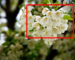 $IMG_1206redbox.webp $IMG_1206redbox.webp