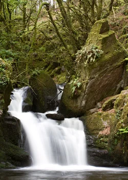 $Mullinhassig Waterfall-001.webp