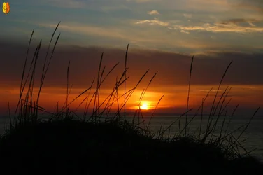 $blackbank sunset.webp