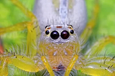 $5819795318_e7795f3e5e_b.webp