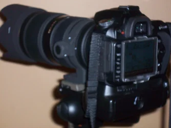 $100_0987.webp