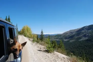 $Lulu Jeep.jpg $Lulu Jeep.jpg