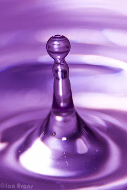 $Water drop 2 (16 of 25).webp $Water drop 2 (16 of 25).webp