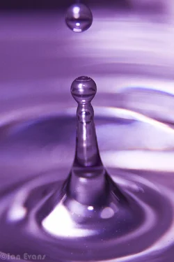 $Water drop 3 (18 of 25).webp $Water drop 3 (18 of 25).webp