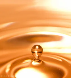 $Water drop 6 (5 of 25).webp $Water drop 6 (5 of 25).webp