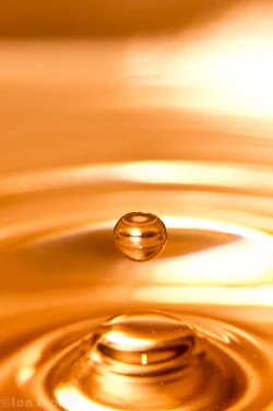 $Water drop 6 (6 of 25).webp $Water drop 6 (6 of 25).webp