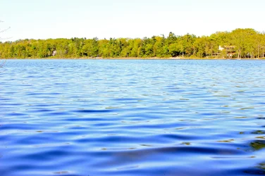 $IMG_4833.webp