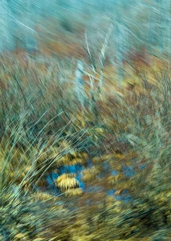 $edit blur.webp $edit blur.webp