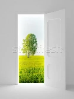 $733407_stock-photo-landscape-behind-the-open-door-3d-image.webp