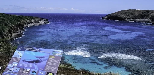 $hawaii nikon 199 (1024x501).webp