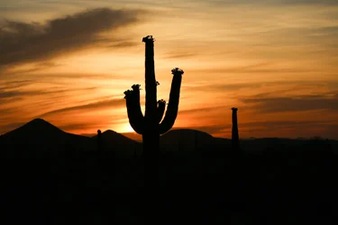 $sunrise-2.webp