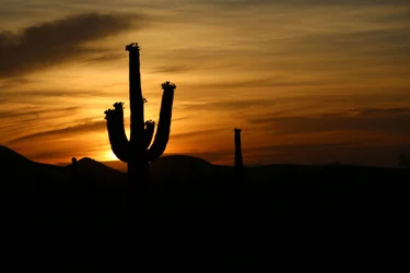 $sunrise-3.webp