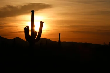 $sunrise-4.webp
