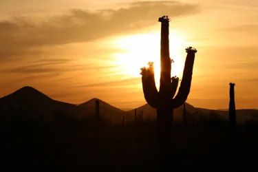 $sunrise-5.webp