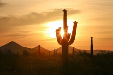 $sunrise-6.webp