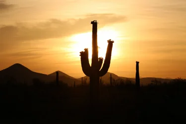 $sunrise-7.webp