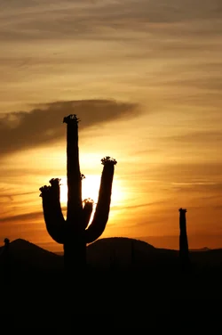 $sunrise-8.webp