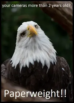 $eaglememecamera.webp