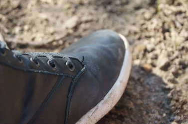 $Shoe.webp