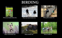 $Birders_large.jpg